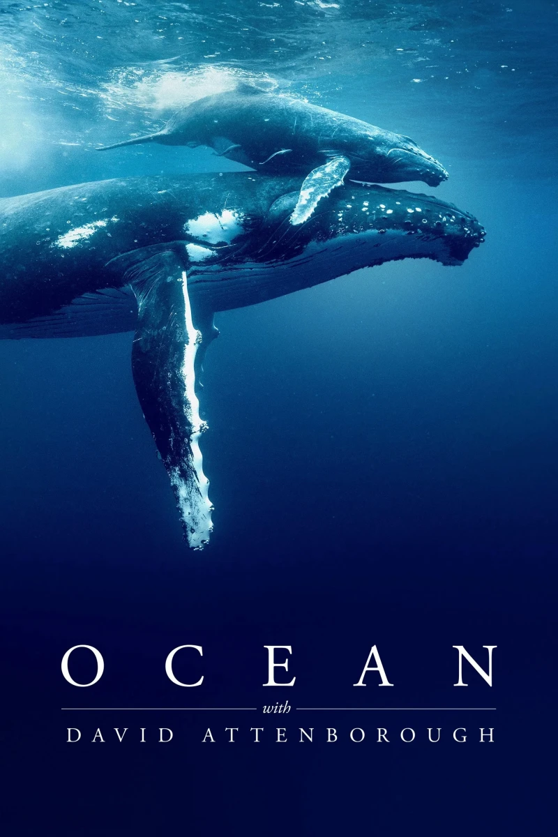 Ocean with David Attenborough - Ocean with David Attenborough